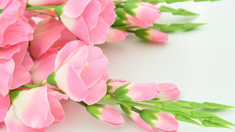 Pretty in Pink