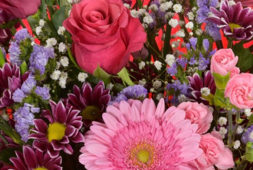 Flowers in Season by Month