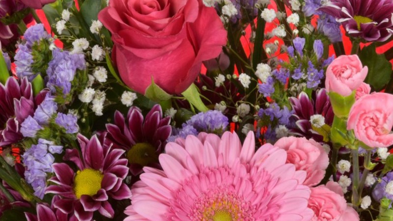 Flowers in Season by Month