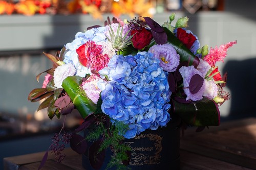 Celebrate Halloween with Belles Fleurs Celebrate Halloween with Belles Fleurs