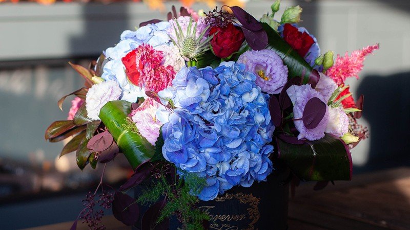 Celebrate Halloween with Belles Fleurs