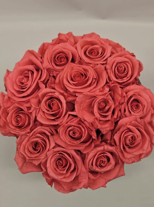 Preserved Pink Roses