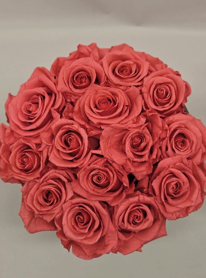 Preserved Pink Roses
