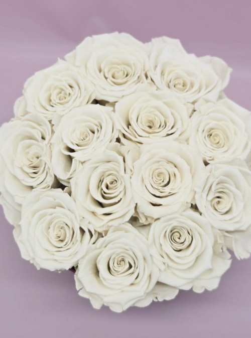 Preserved White Roses Preserved White Roses