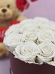 Preserved White Roses Preserved White Roses
