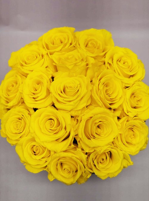 Preserved Yellow Roses