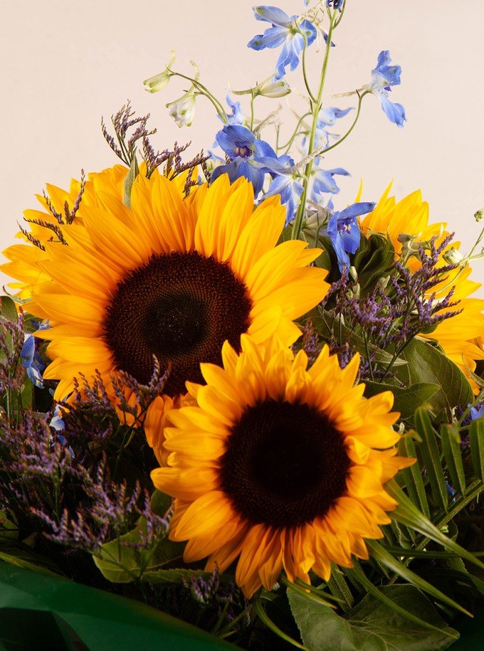 Summer Burst