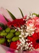 Coral Blossom