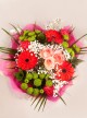 Coral Blossom