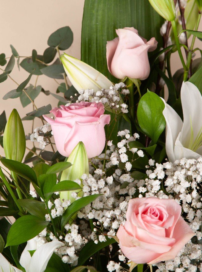 Pink Passion
