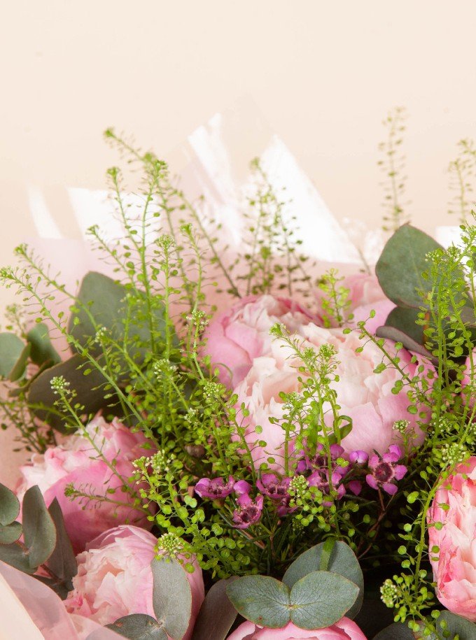Peony Dream Peony Dream