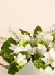 Pure & Beauty