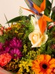 Colour Harmony
