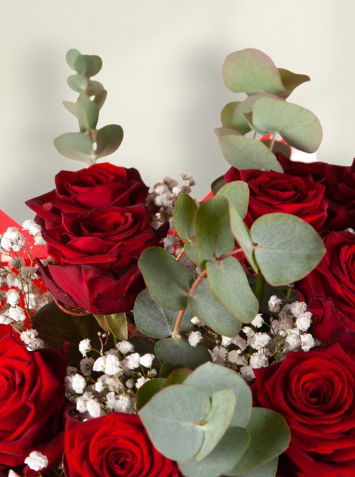 Dozen Red Roses