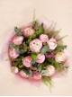 Peony Dream