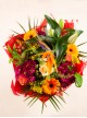 Colour Harmony