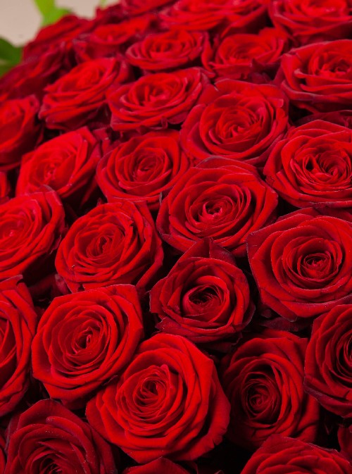Special Valentine