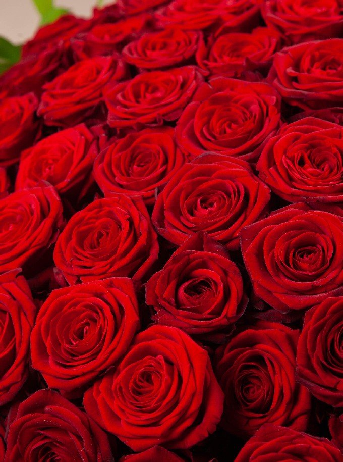 Special Valentine Special Valentine