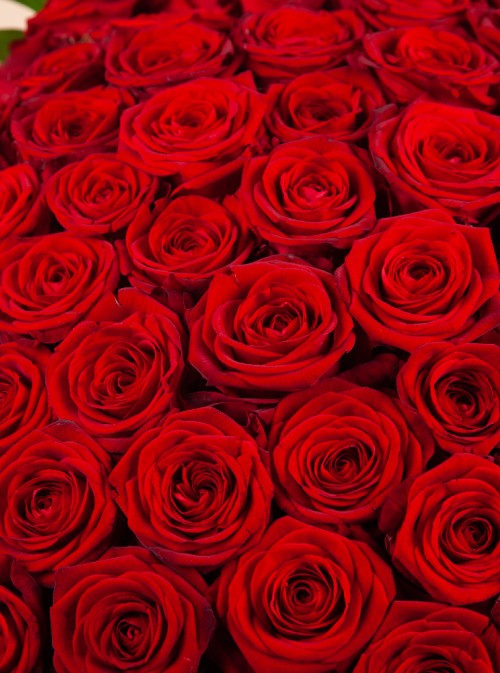 Special Valentine