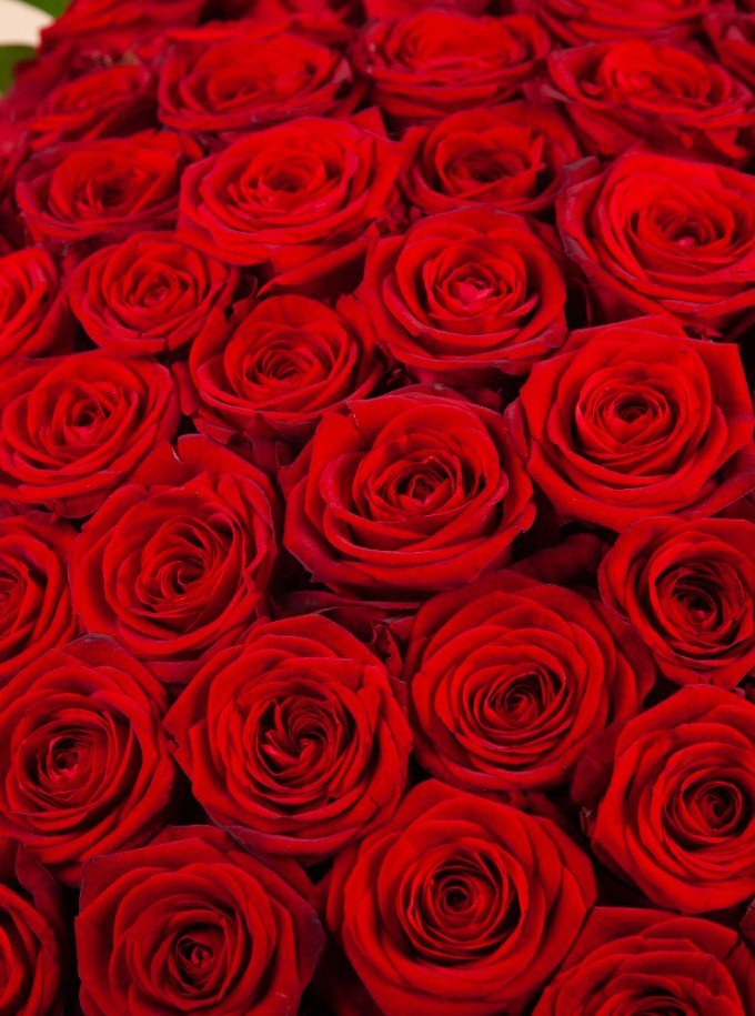 Special Valentine Special Valentine