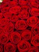 Special Valentine