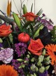 Autumn Enchantment