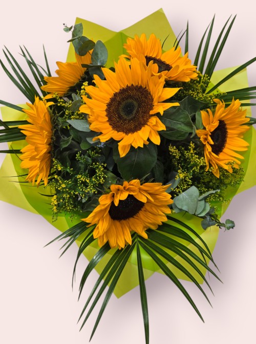 Sunflower Splash
