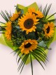 Sunflower Splash