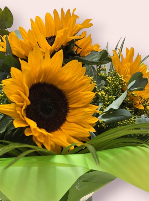 Sunflower Splash