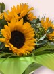 Sunflower Splash