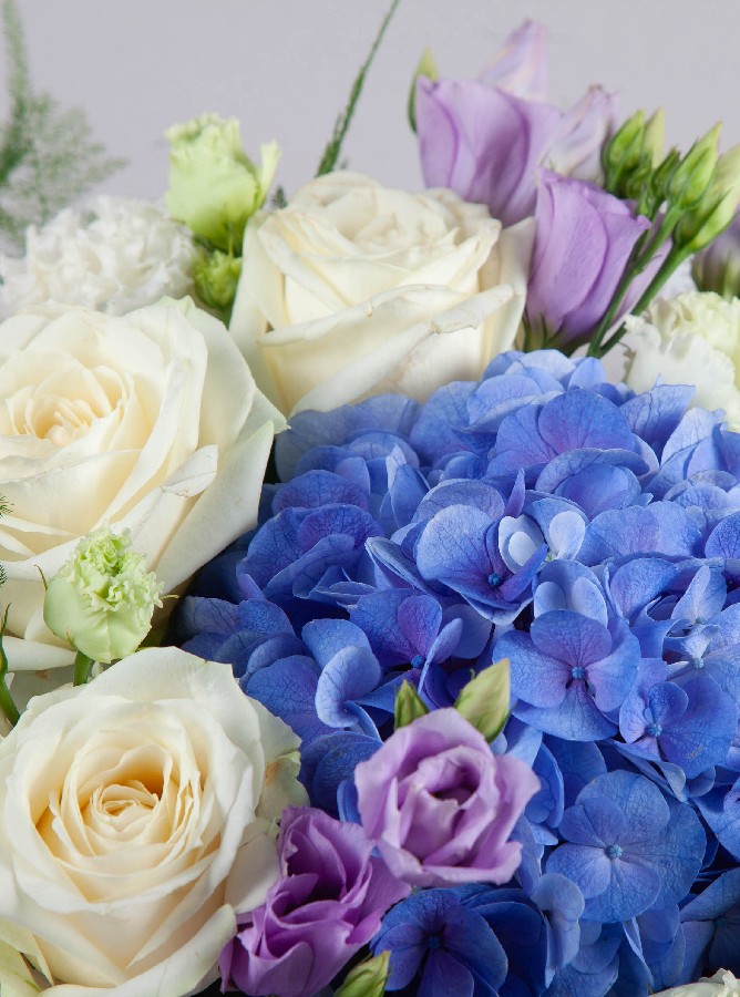 Blue Beauty Blue Beauty