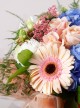 Gorgeous Tribute Gorgeous Tribute