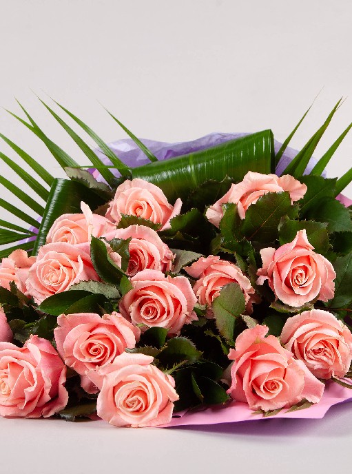 Romantic Roses