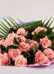 Sympathy Sheaf