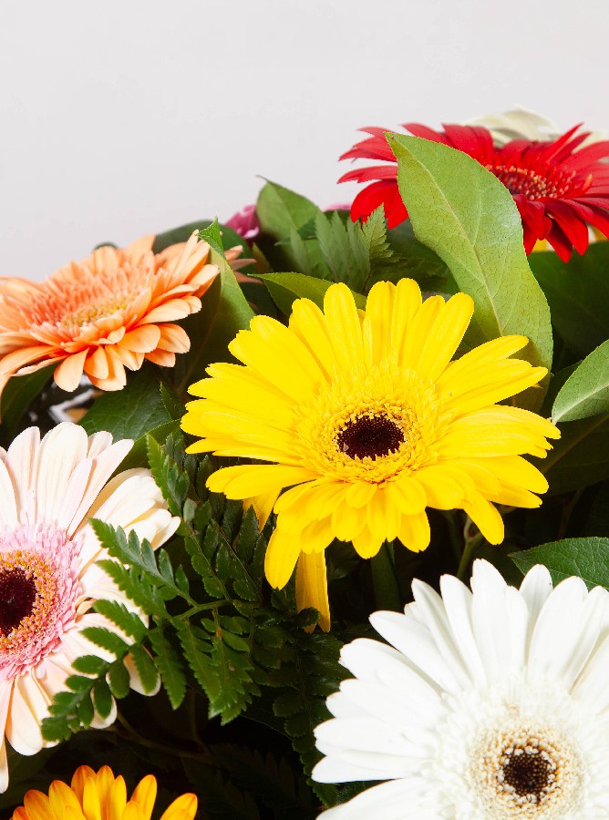 Colourful Casket Spray