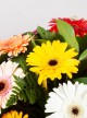 Colourful Casket Spray
