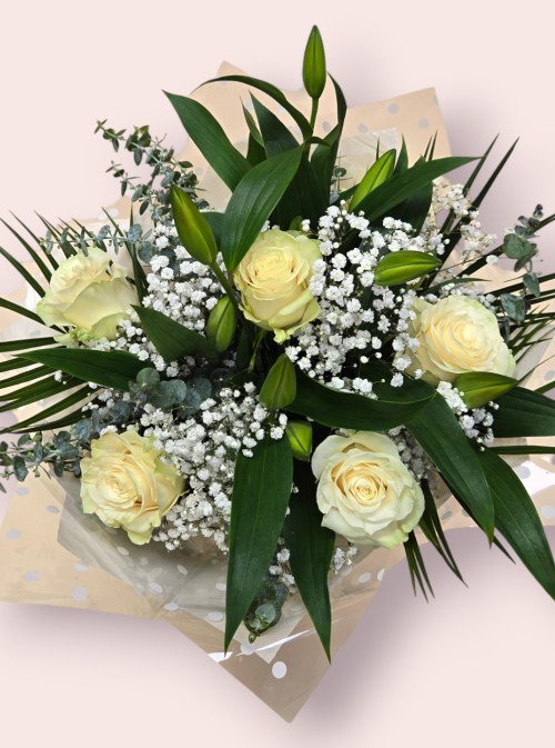 Soft & Elegant