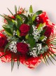 Scarlet Elegance