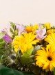Blooming Delight