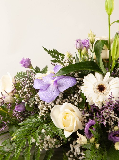 Sympathy Spray Purple