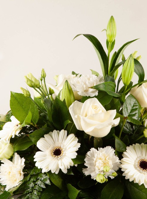 Sympathy Spray White