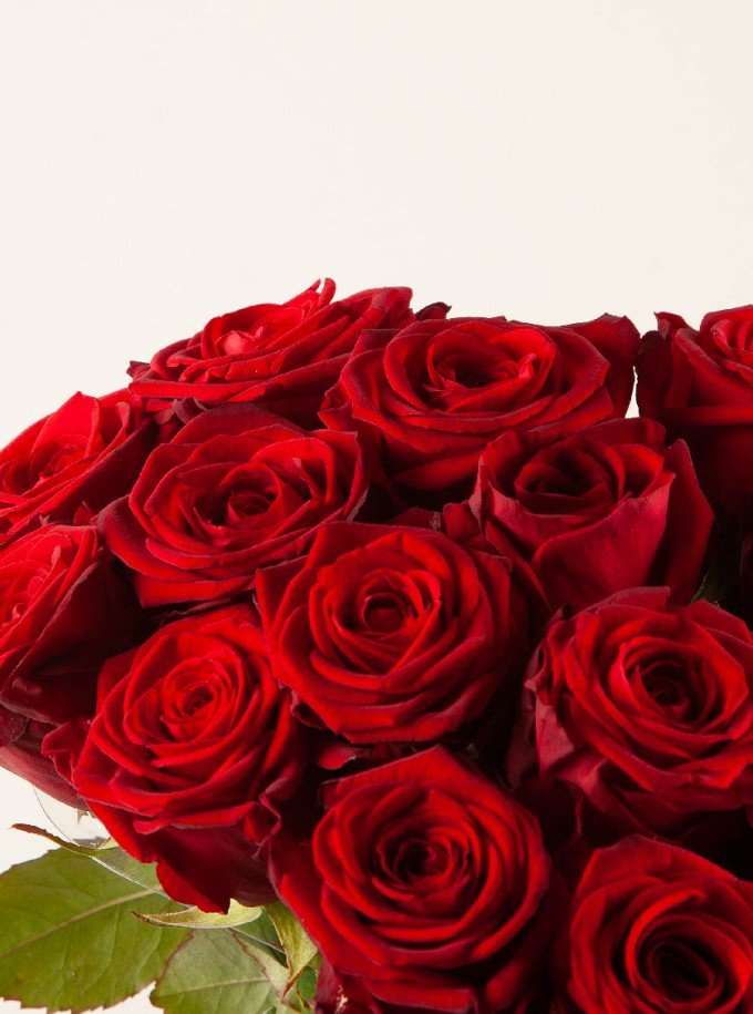 Red Heart Red Heart