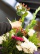  Florist's Choice