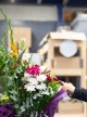  Florist's Choice