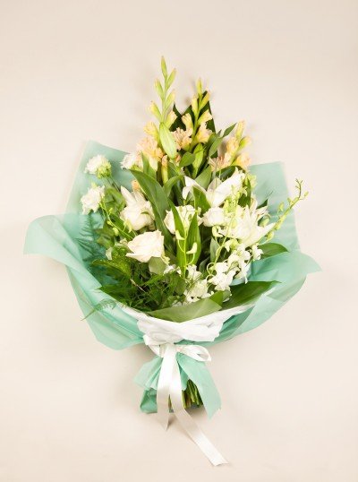 Sympathy Sheaf