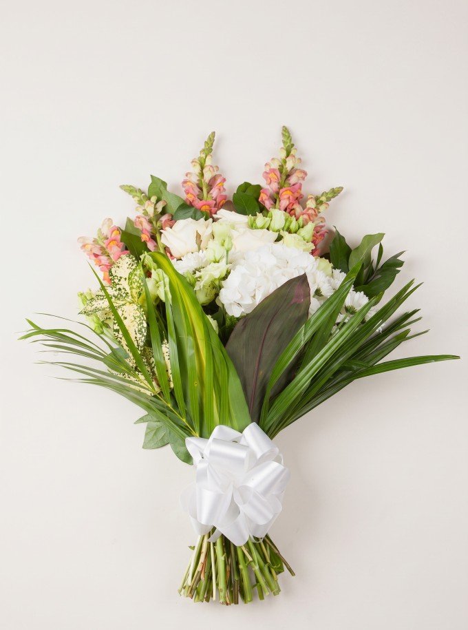 Sympathy Sheaf