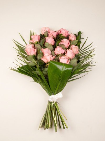Sympathy Sheaf