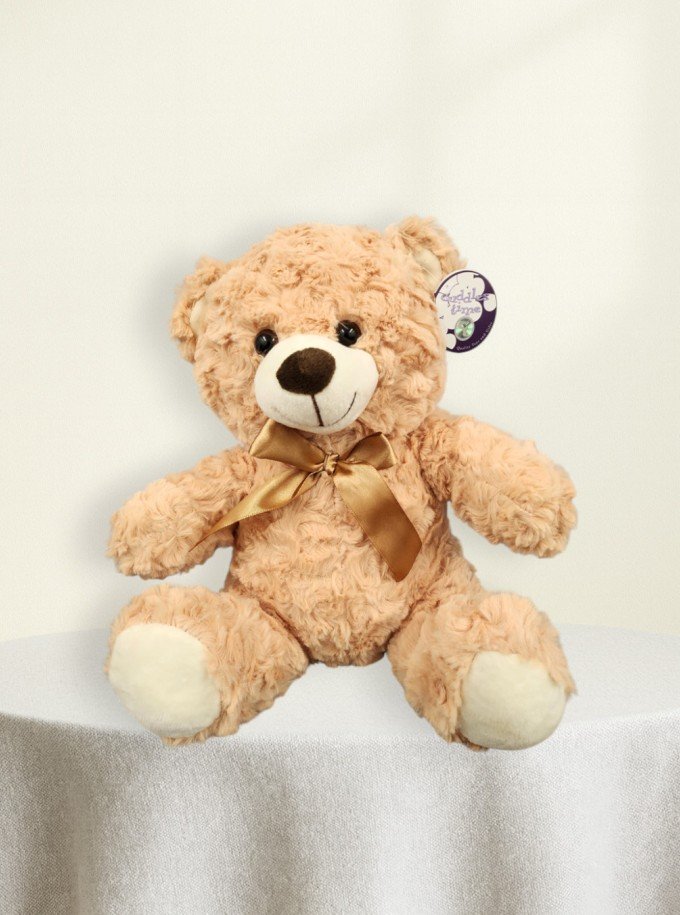 Teddy Bear Teddy Bear